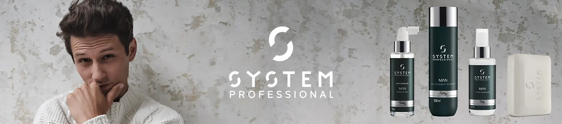 System professional H