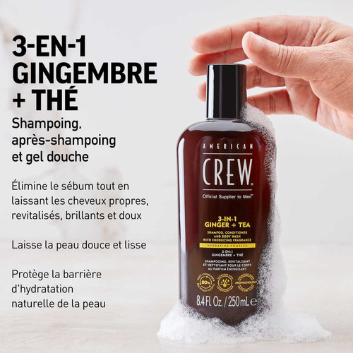  3-En-1 Gingembre + Thé : Shampoing, Après-Shampoing, Gel Douche