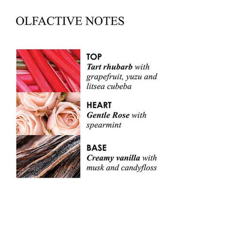  Delicious Rhubarb & Rose Savon Liquide Raffine Pour Les Mains Recharge